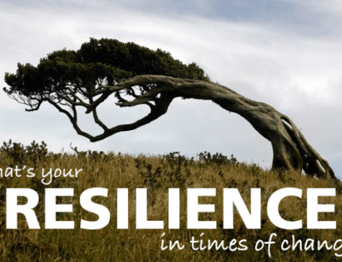 Managing Personal Change: How Resilient Are You?
